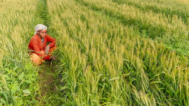 Kisan Credit Card (KCC) 2026: ₹3 Lakh Loan at 4% Interest — Apply Online