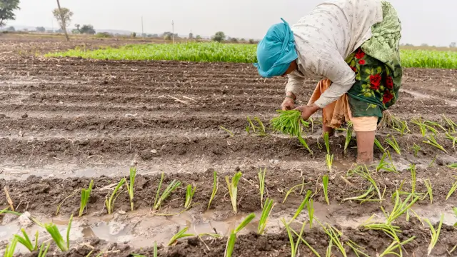 PM Fasal Bima Yojana 2026